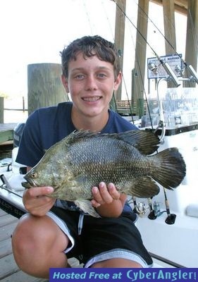 Click to Enlarge Photo