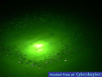 Click to Enlarge Photo