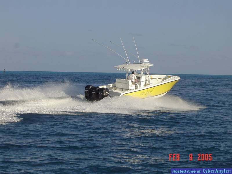freejumper_quarter_stern