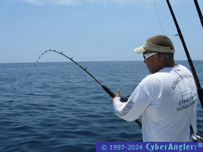 Click to Enlarge Photo