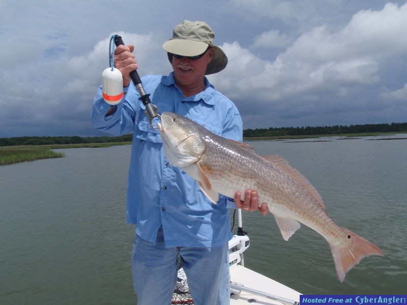 FinAddict Charters