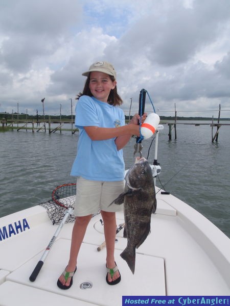 FinAddict Charters