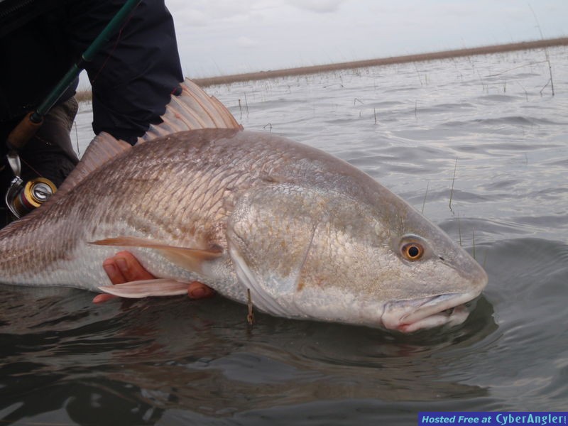 FinAddict Charters