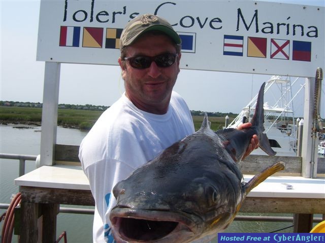 FinAddict Charters