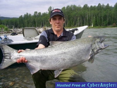 Chinook King Salmon Terrace BC Canada