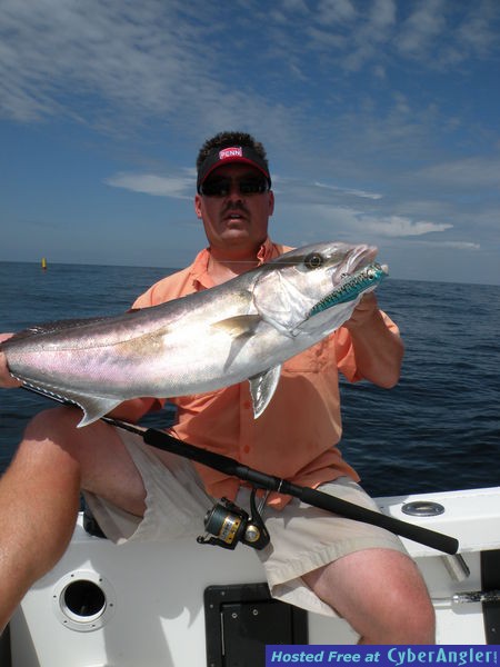 Jacks on topwater!!