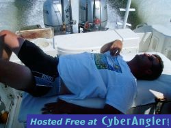 Click to Enlarge Photo