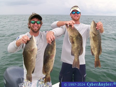 Limit of Gag Grouper