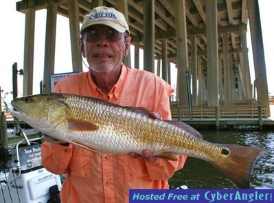 Click to Enlarge Photo