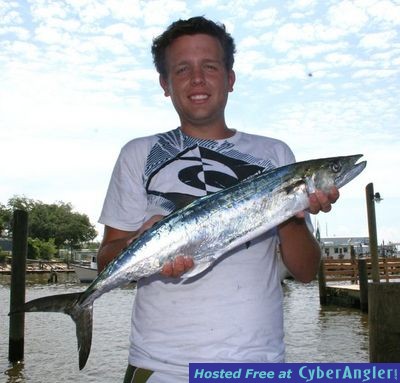 Click to Enlarge Photo