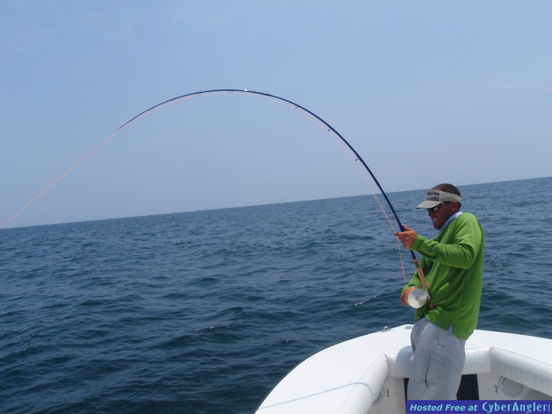 FinAddict Charters