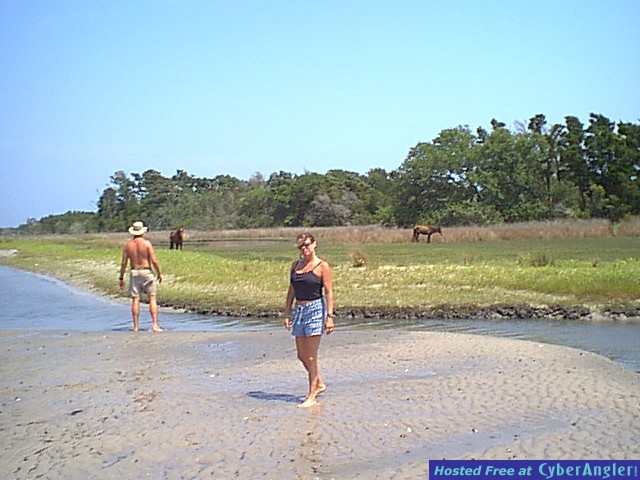 amy at shackleford banks w/wild ponies