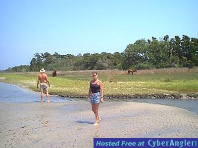 amy at shackleford banks w/wild ponies