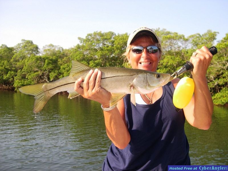 Click to Enlarge Photo