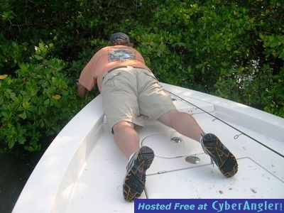 Click to Enlarge Photo