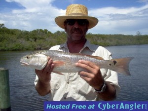 24.5 inch redfish