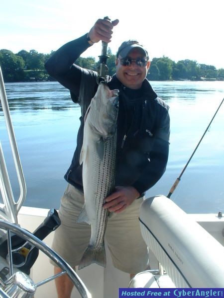 NH Striped Bass.