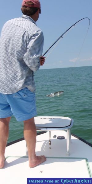 fly fishing tarpon