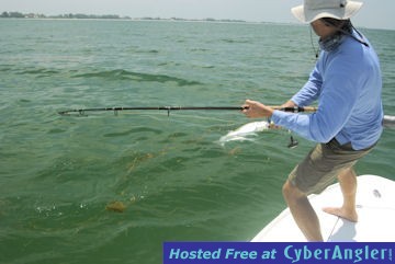 Capt. Rick Grassett and Hal Lutz Longboat Key fly tarpon