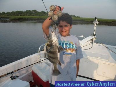 Click to Enlarge Photo