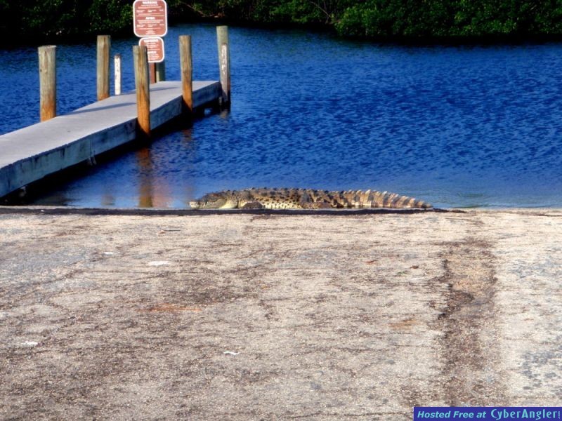 Click to Enlarge Photo