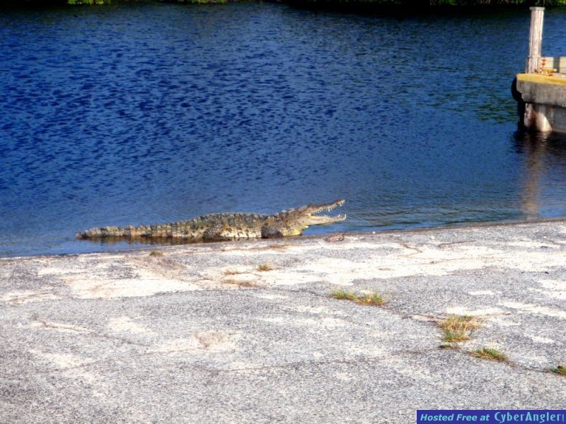 Click to Enlarge Photo