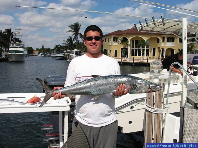 Kingfish Me
