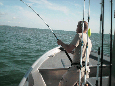 www.captdaves.com