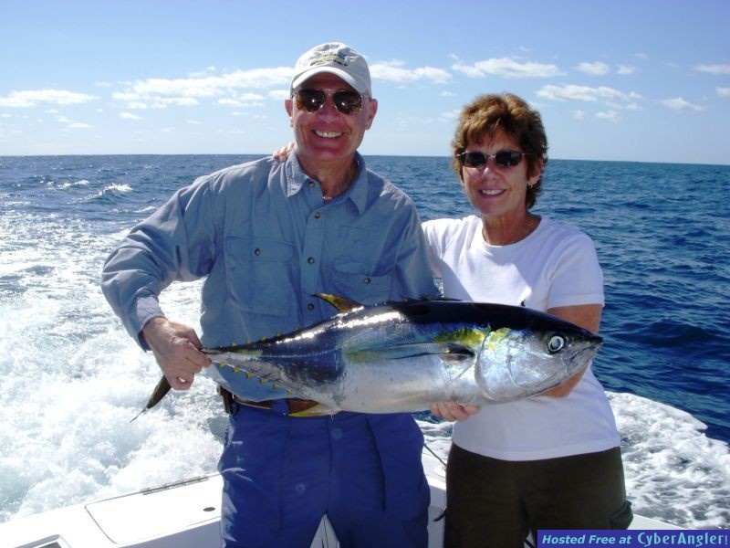 Caren's Yellowfin