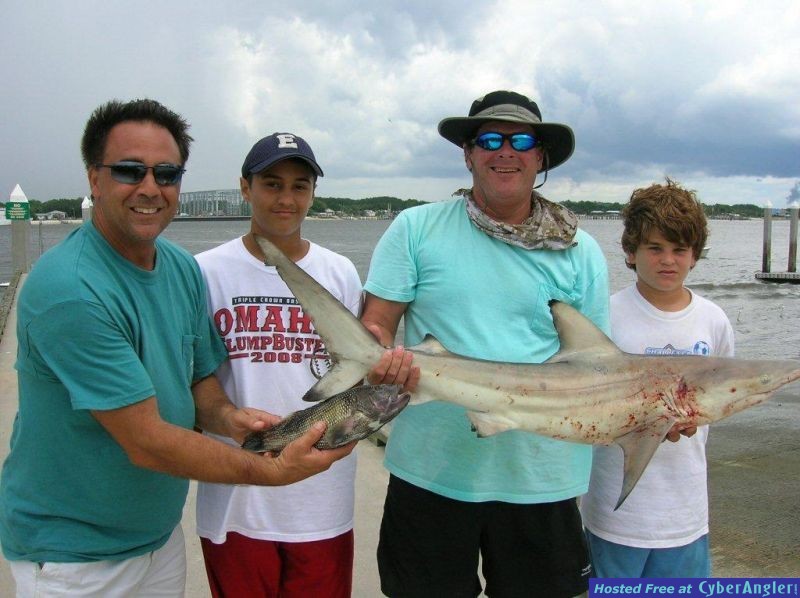 sheephead