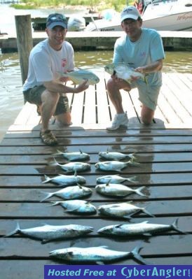 More Biloxi Mississippi Pompano Fishing