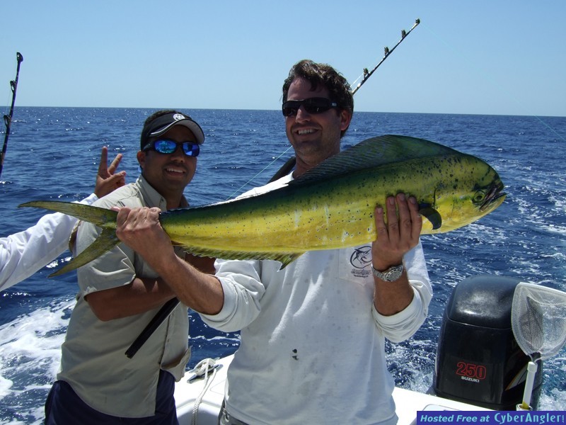 Chub Cay - May 2009