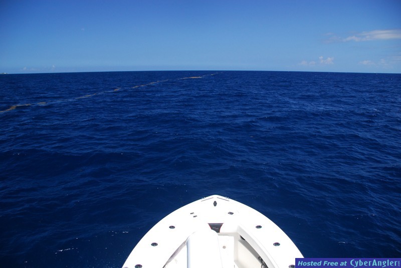 Chub Cay - May 2009