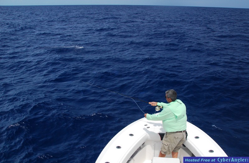 Chub Cay - May 2009