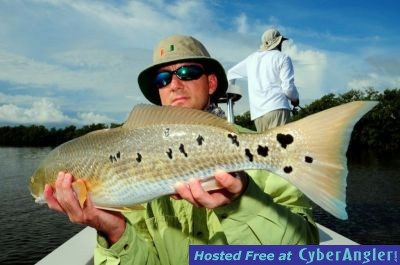 Click to Enlarge Photo