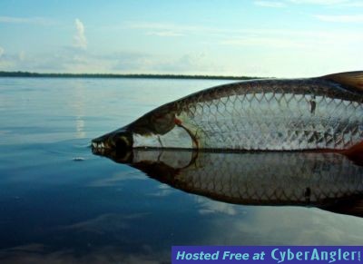 Click to Enlarge Photo