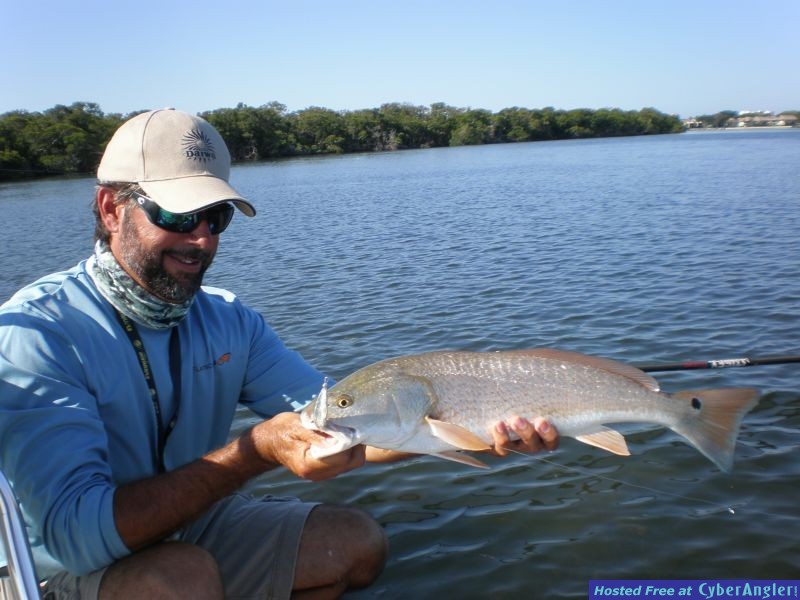 Sarasota Spottail Splendor - Redfishing on Florida's West Coast