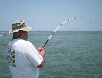 www.captdaves.com
