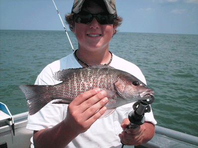 www.captdaves.com