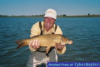 Freshwater 'Golden Bonefish' -carp