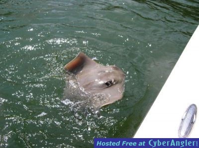 Click to Enlarge Photo