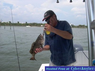 Click to Enlarge Photo