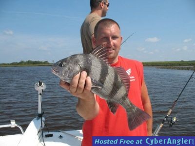 Click to Enlarge Photo