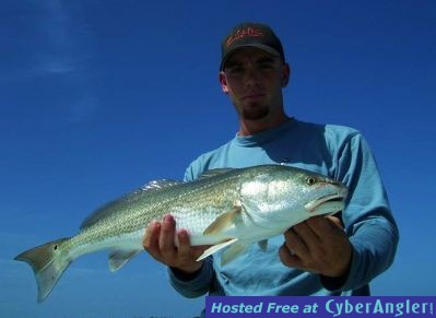 Click to Enlarge Photo