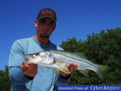 Click to Enlarge Photo