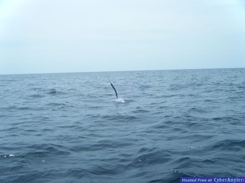 DSCF0066