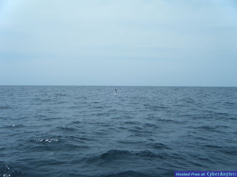 DSCF00711