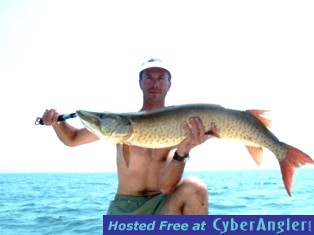 43 inch muskie on a fly rod