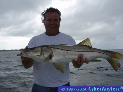 Click to Enlarge Photo