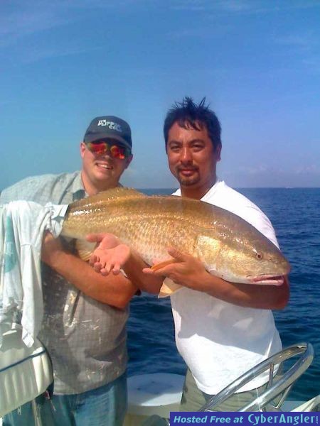 Redfish